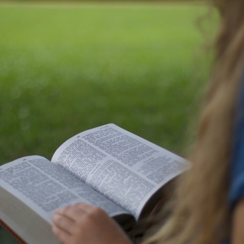 Psalms of David's Life