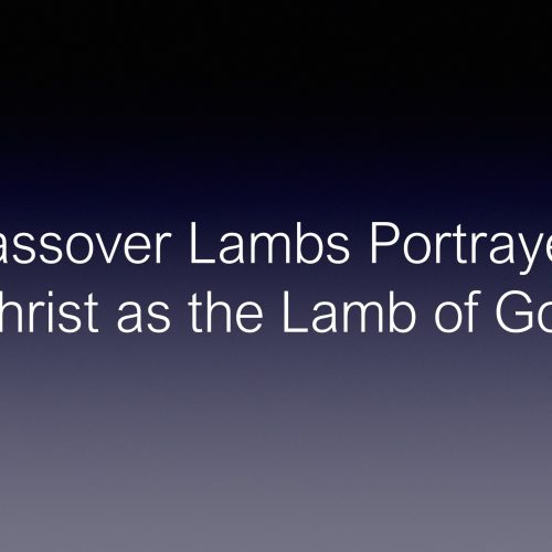 Meet The Real Jesus – He Is The Lamb Of God | Discover the Book Ministries