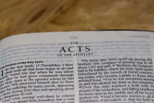 Christ in All of Acts