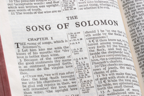 A Guide to Song of Solomon 2