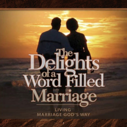 God's Plans For Marriage