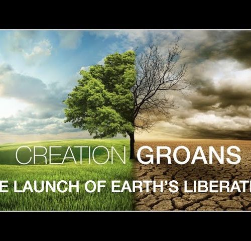 CREATION GROANS