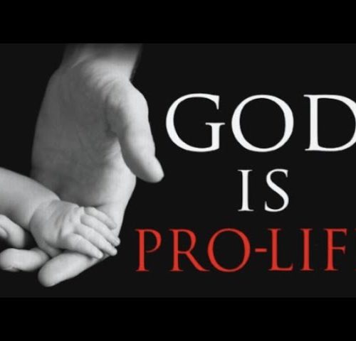 PRO LIFE JUSTICE MARRIAGE