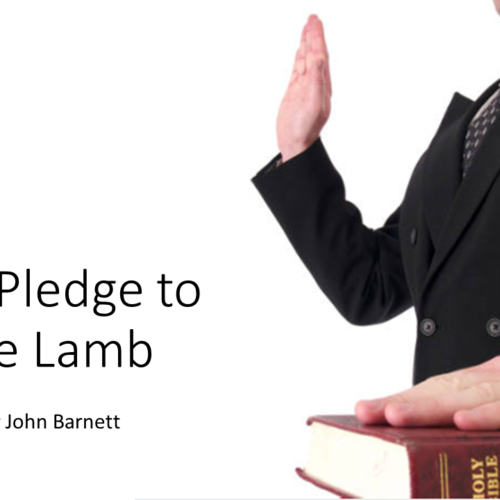 Our Pledge to the Lamb