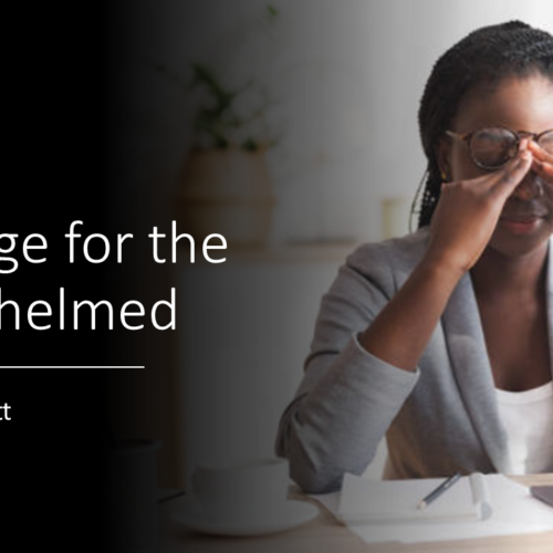 A Refuge for the Overwhelmed