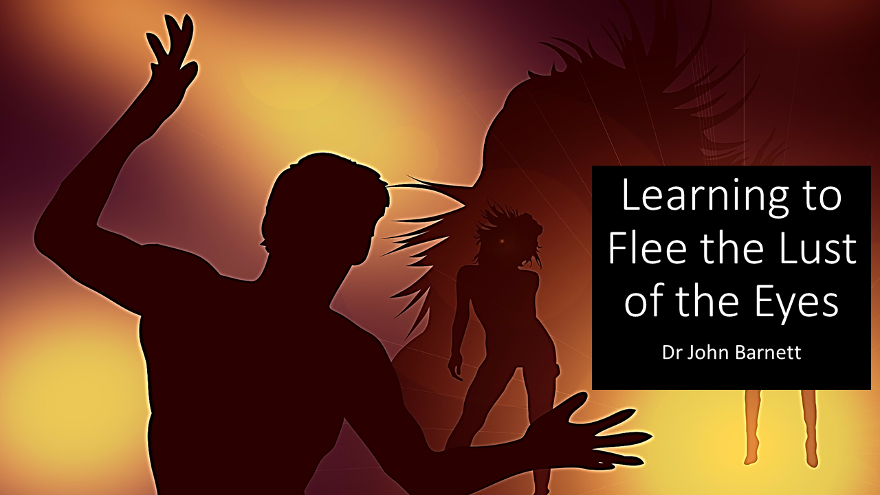 Learning to Flee the Lusts of the Eyes