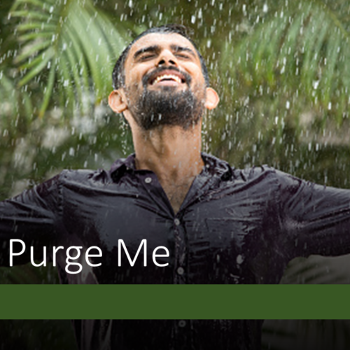 David - Purge Me
