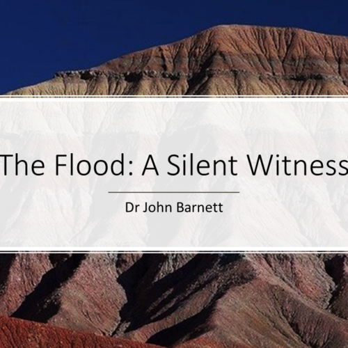 The Flood A Silent Witness
