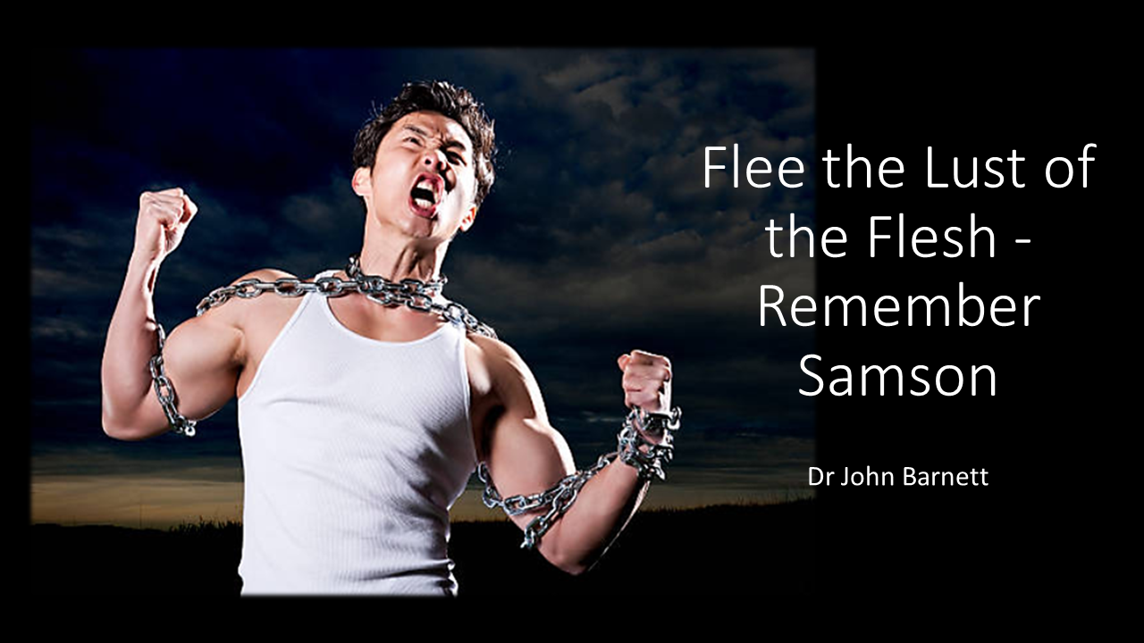 Flee the Lust of the Flesh - Samson