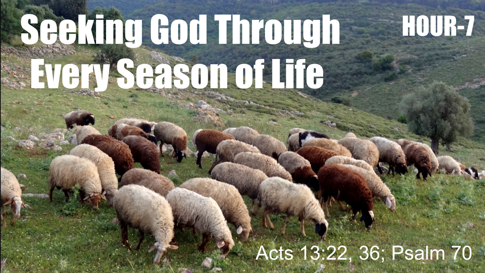 Seeking God In Every Season