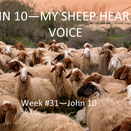 Hear The Voice Of God